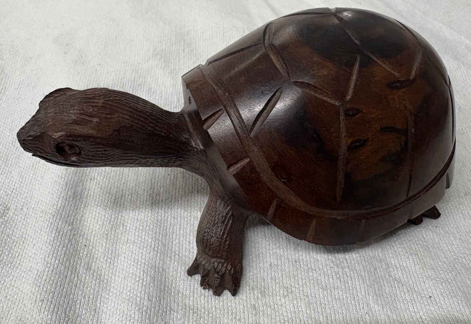 turtle large
