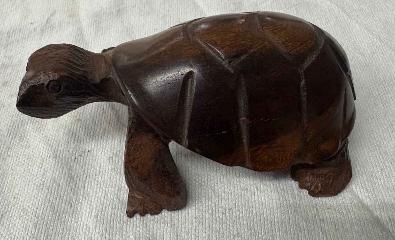 turtle medium
