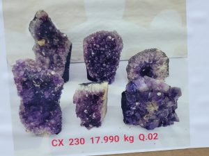 JAN 25'- CX 230