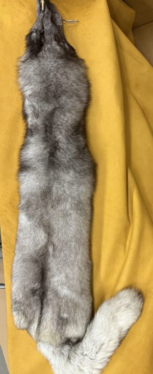 Blue Fox Fur