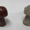 sa mushroom