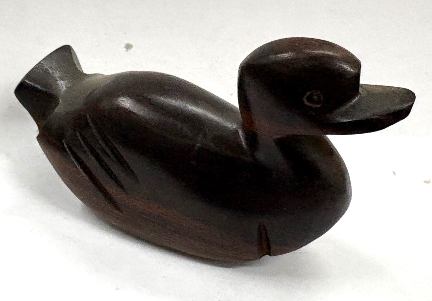 ironwood duck