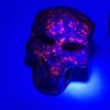 fluor sodalite skull 2