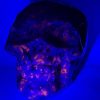 fluor sodalite skull 3