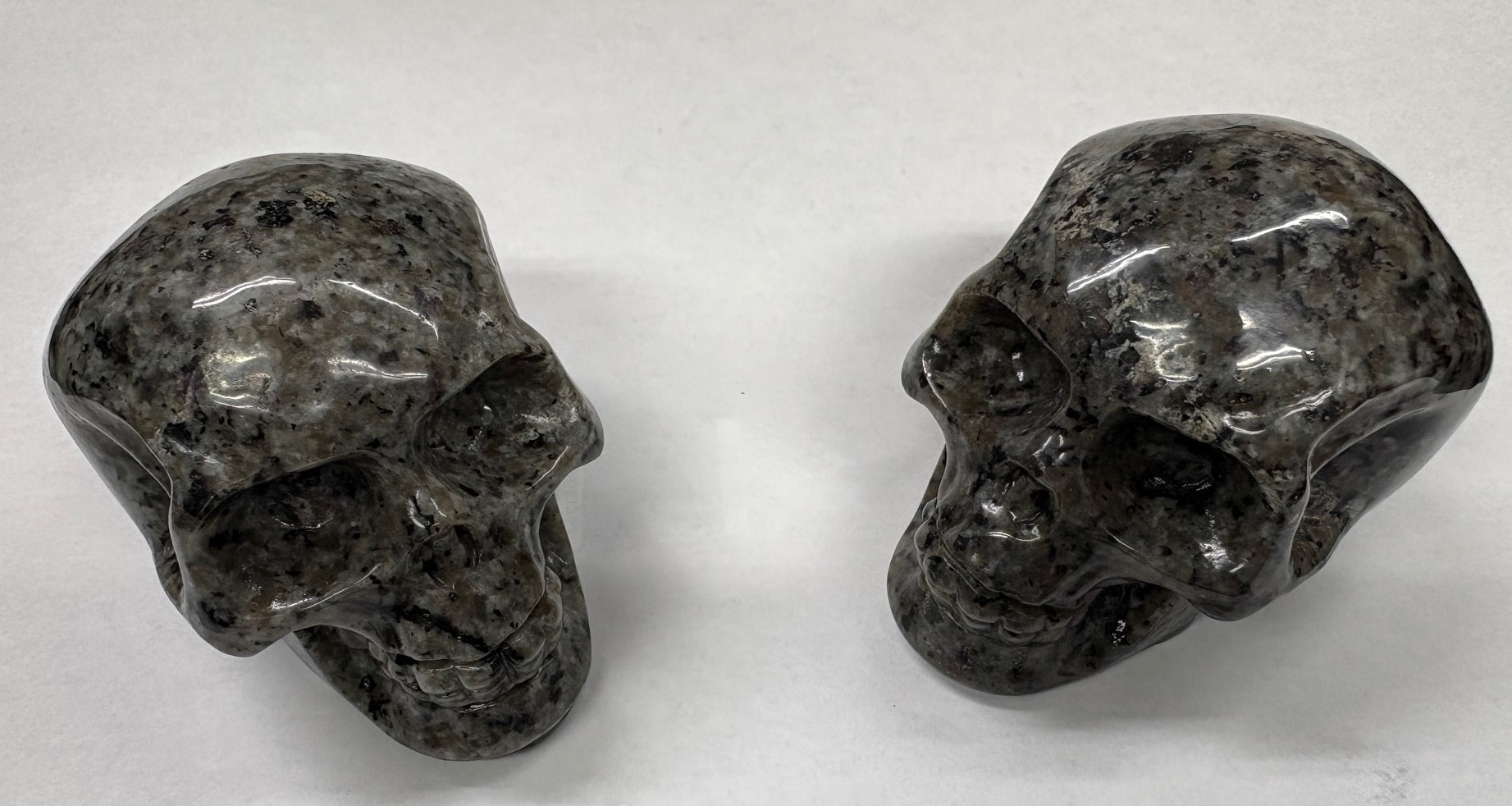 fluor sodalite skull