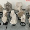 pl04 1 case may 2026