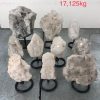 pl04 10 case may 2026