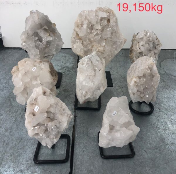 pl04 11 case may 2026