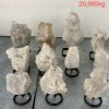 pl04 12 case may 2026
