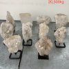 pl04 14 case may 2026