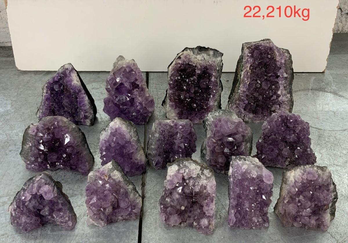 pl04 17 case may 2026