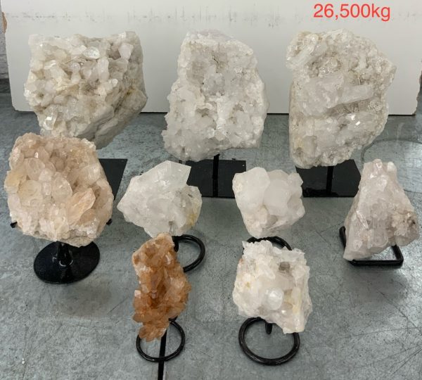 pl04 2 case may 2026