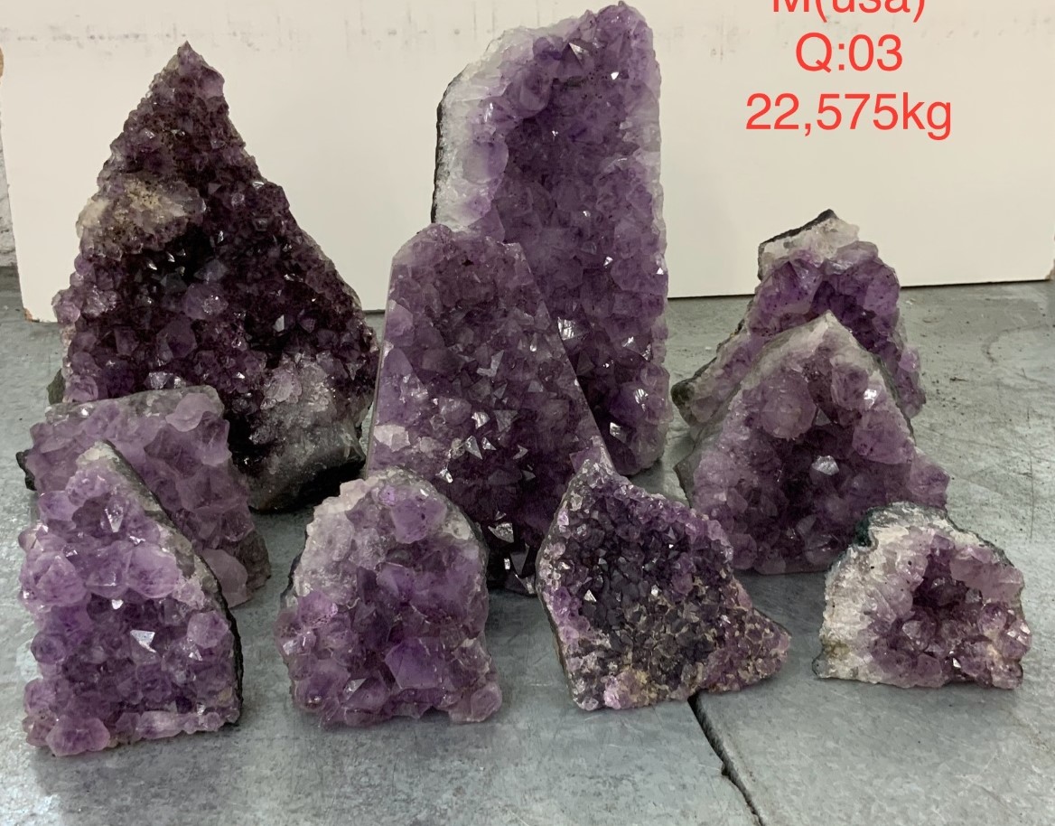 pl04 23 case may 2026