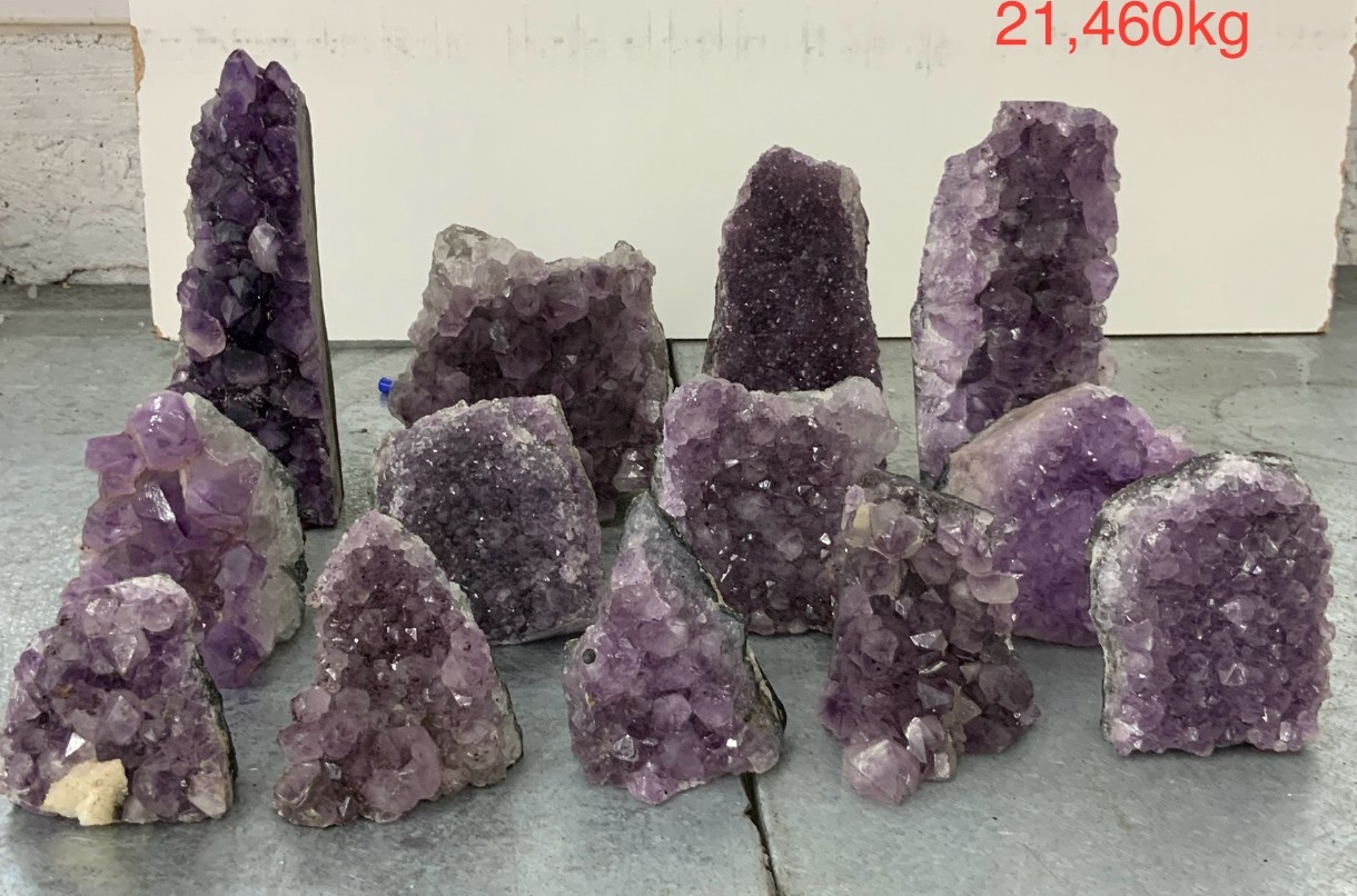 pl04 24 case may 2026