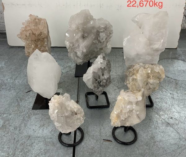 pl04 3 case may 2026