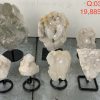 pl04 5 case may 2026