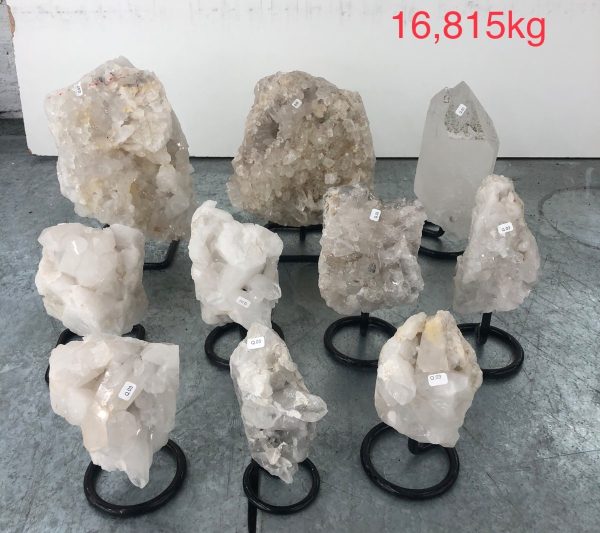 pl04 9 case may 2026