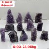 AUGUST CASE PL1817
