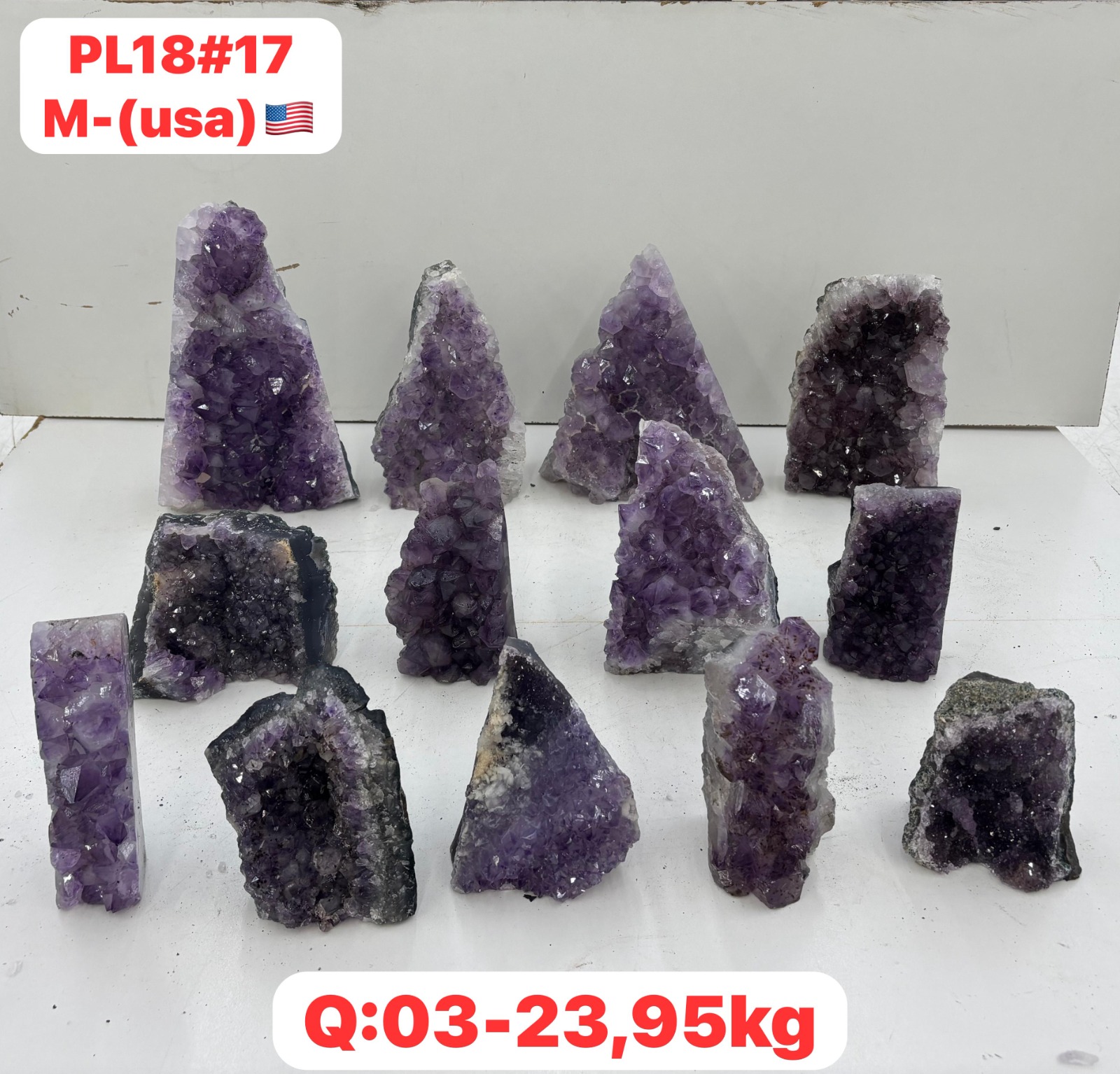 AUGUST CASE PL1817