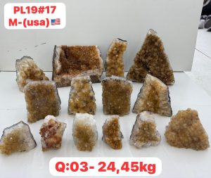 AUGUST 2026 PL1917 CITRINE CUTBASE CASE