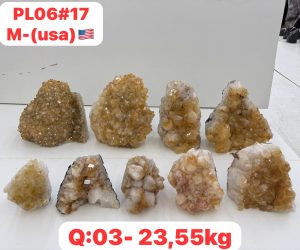 AUGUST 2026 PL0617 CITRINE CUTBASE CASE