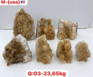 AUGUST 2026 PL1211 CITRINE CUTBASE CASE