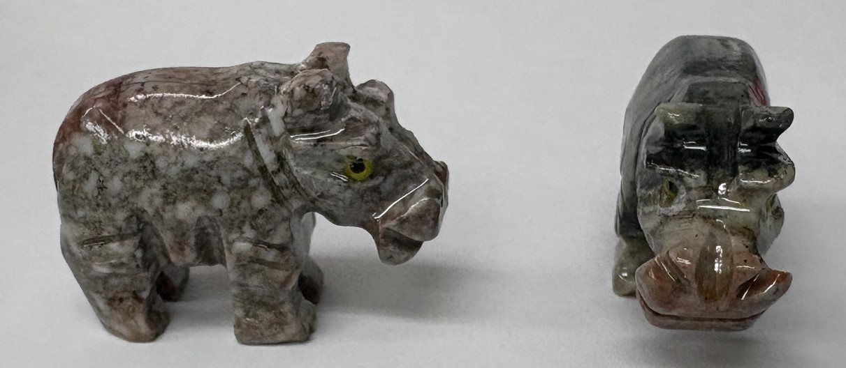 SA HIPPO