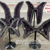 amethyst butterfly pallet 19 july 2026