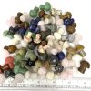 mini mushroom closeout