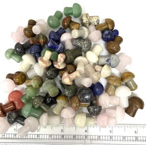 CLOSEOUT MINI MUSHROOM
