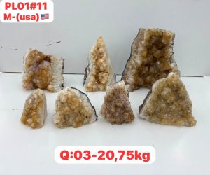 AUGUST 2026 PL0111 CITRINE CUTBASE CASE