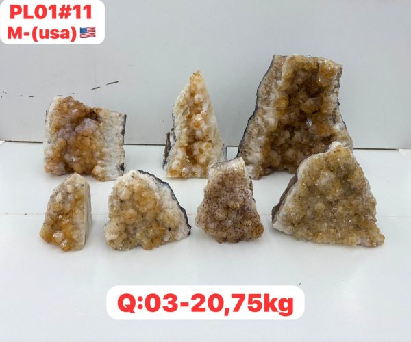 pl01