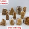 pl0311