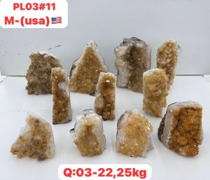 AUGUST 2026 PL0311 CITRINE CUTBASE CASE
