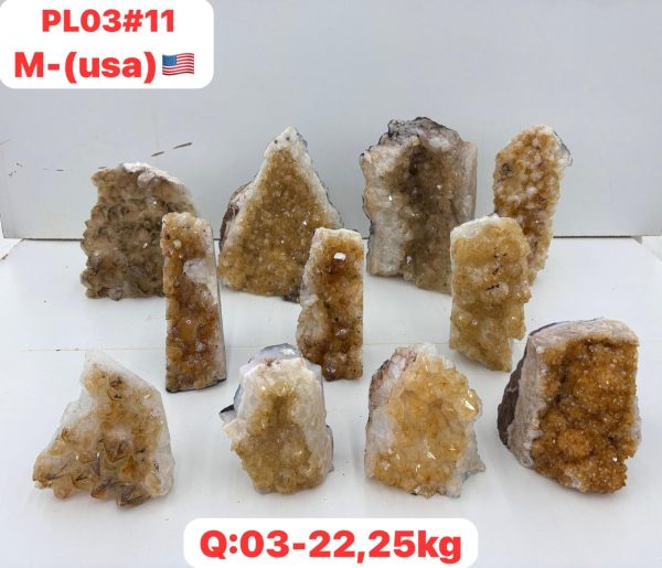 pl0311