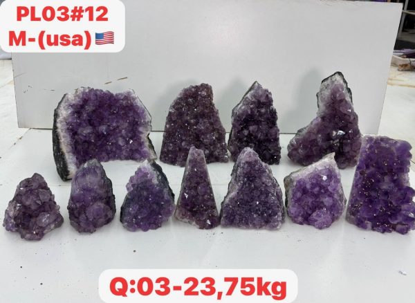 pl0312
