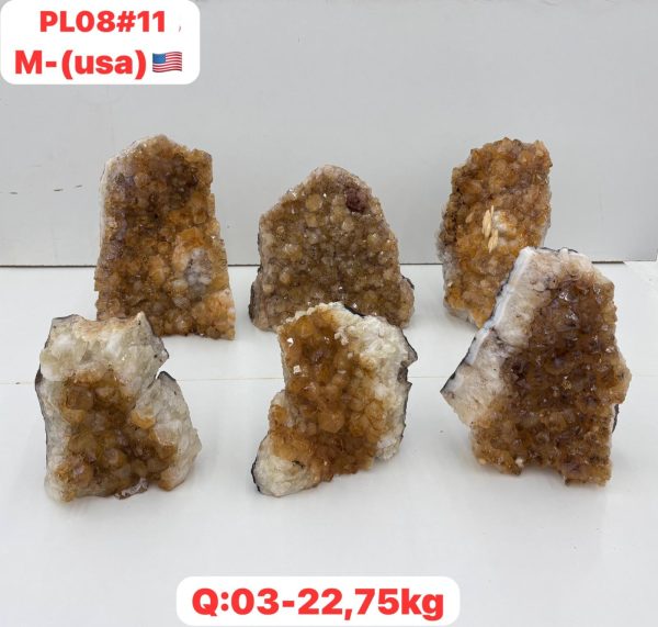 pl0811