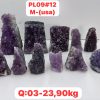 pl091