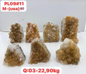 AUGUST 2026 PL0911 CITRINE CUTBASE CASE