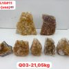 pl1011