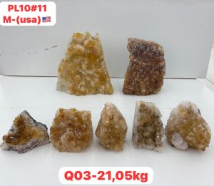 AUGUST 2026 PL1011 CITRINE CUTBASE CASE