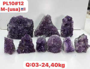 AUGUST 2026 PL1012 AMETHYST CUTBASE CASE
