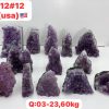 pl1212