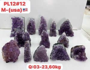 AUGUST 2026 PL1212 AMETHYST CUTBASE CASE