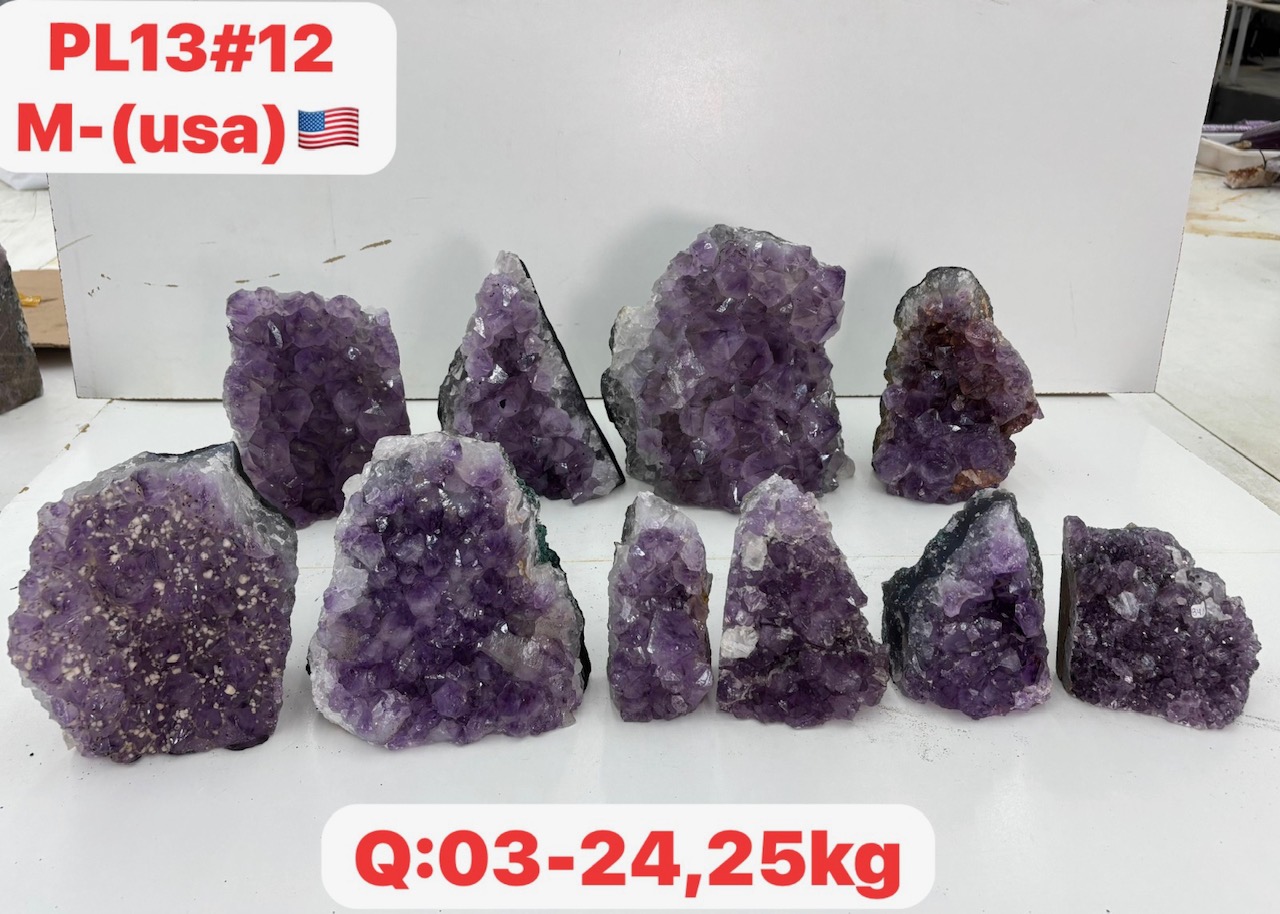 pl1312