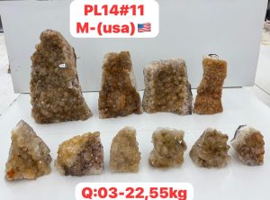 AUGUST 2026 PL1411 CITRINE CUTBASE CASE