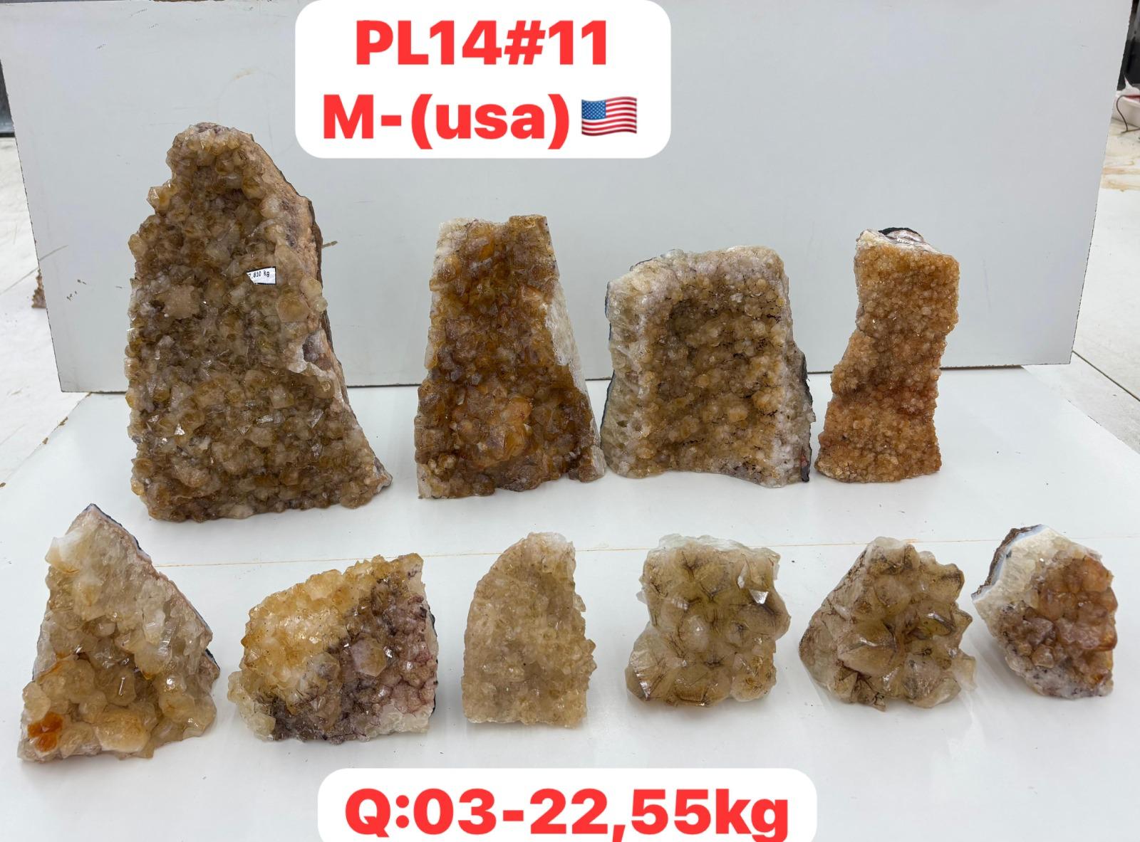 pl1411