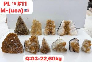 AUGUST 2026 PL1511 CITRINE CUTBASE CASE