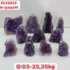 pl1512