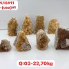 pl1611